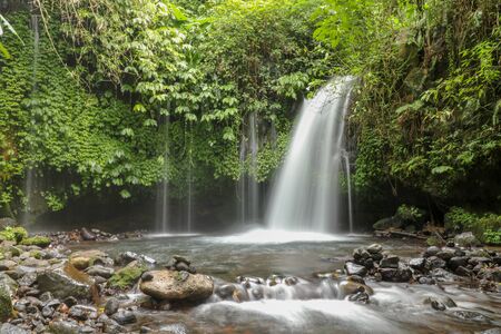 Yeh Ho Waterfall is located in the lush rice field-laden Penebel village in Tabanan. The stream of beautiful waterfall in the jungle in Jatiluwih area, Bali, Indonesia.の写真素材