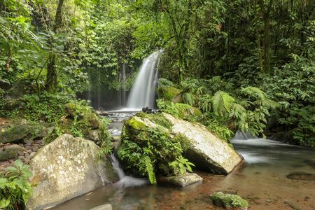 Yeh Ho Waterfall is located in the lush rice field-laden Penebel village in Tabanan. The stream of beautiful waterfall in the jungle in Jatiluwih area, Bali, Indonesia.の写真素材