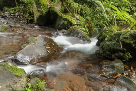 Small mountain river flows among stones in mountainous areas through forest. Natural landscape, with a clean river a beautiful landscape, clean air. Ecologically clean area Jatiluwih, Bali, Indonesia.の写真素材