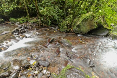 Small mountain river flows among stones in mountainous areas through forest. Natural landscape, with a clean river a beautiful landscape, clean air. Ecologically clean area Jatiluwih, Bali, Indonesia.の写真素材