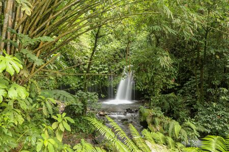 Yeh Ho Waterfall is located in the lush rice field-laden Penebel village in Tabanan. The stream of beautiful waterfall in the jungle in Jatiluwih area, Bali, Indonesia.の写真素材