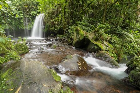 Yeh Ho Waterfall is located in the lush rice field-laden Penebel village in Tabanan. The stream of beautiful waterfall in the jungle in Jatiluwih area, Bali, Indonesia.の写真素材