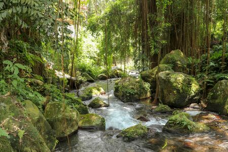 River bed in Pakerisan valley with wild water and big boulders. Water rolling over rocks in a river...