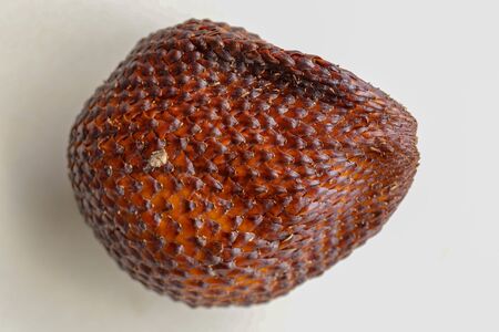 Close up of single piece of Snake fruit.  Top view of single healthy fruit. Salak pondoh is one of the salak cultivars that mostly grows in area of Bali. Macro photo of Sweet Salacca zalacca.の写真素材
