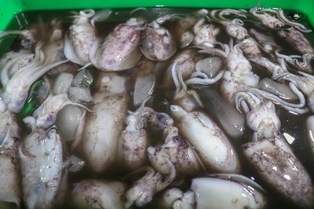 Pattern of fresh squids in tray with ice blocks for sell. Cephalopods on a seafood counter in fish...