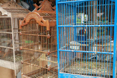 Bird cages for sale in the market, Bali, Indonesia