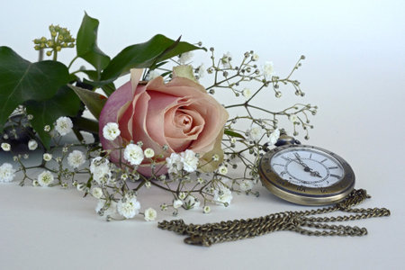 Antique pocket watch and red rose buds and petals. symbolizing Time of Loveの写真素材