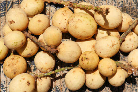 close up photo of ripe duku fruit with a wooden background.