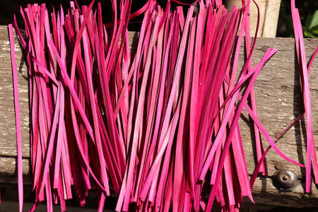 Colored reed stalks for Hindu offerings and ceremonies. Pink colored grass atte