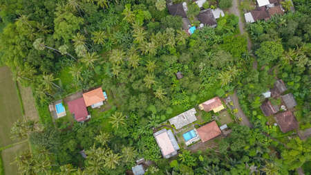 spinning aerial shot of secluded houses in dense jungleの写真素材