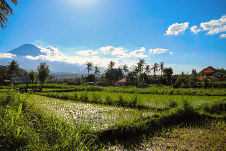 Beautiful volcano Agung and rice fields. Bali. Indonesia. Asiaの写真素材