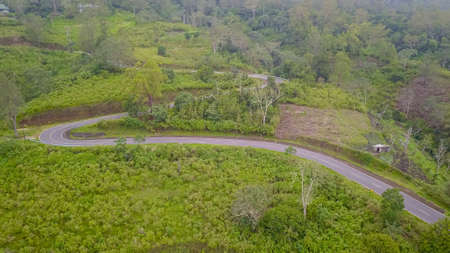 Green landscape of agriculture and forest in Ende Flores.