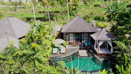 Young fit man jumping near to swimming pool. Happy summer vacation in luxury villa in Ubud, Bali,...