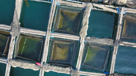 The top view of salt water fishes cages in Chanthaburi province of Thailand, concept of aquaculture for food industrialの写真素材