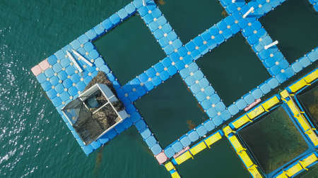 Fish farming in the sea, Greece. Cage system of fish cultivation.の写真素材