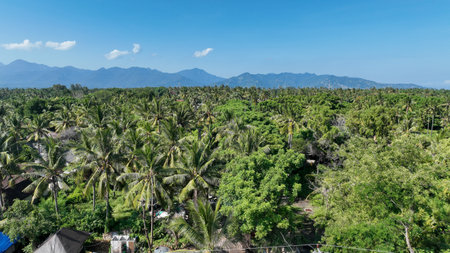 The idyllic coastline of Gili Air features turquoise waters, white sandy beaches, and charming beachfront huts, offering a serene escape in a tropical island settingの写真素材
