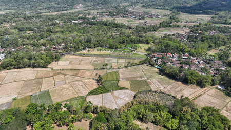 A stunning aerial view of lush rice paddies and a rural village nestled in the heart of Java...