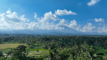 Expansive panorama of tropical rice fields and dense coconut palms, with the impressive silhouette of Mount Rinjani volcano shrouded in mist beneath a brilliant skyの写真素材