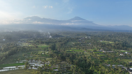 A breathtaking aerial view of lush rice terraces unfolds beneath the majestic silhouette of Mount Rinjani, Lombok iconic volcano. Misty clouds wrap the slopes, highlighting the power of Gunung Rinjaniの写真素材