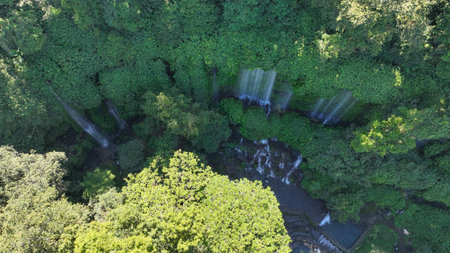 Benang Kelambu Waterfall cascades in delicate veils through dense jungle, creating a hidden oasis surrounded by lush greenery in the heart of Lombok rainforestの写真素材