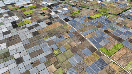 A close up aerial shot reveals the geometric beauty of Sembaluns agricultural fields, each plot...