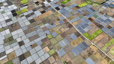 Discover the intricate patterns of Sembalun fields from above, where shades of green and silver...