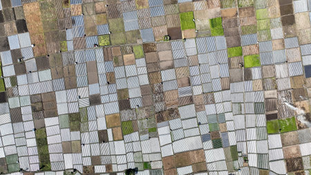 Aerial view of Sembalun patchwork farmland, showcasing diverse crops under bright sunlight with neat...