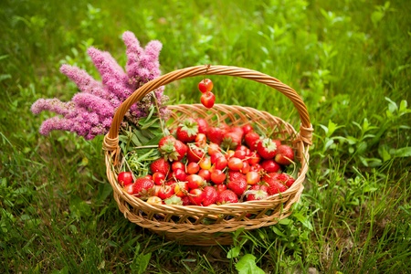 Basket of strawberriesの素材