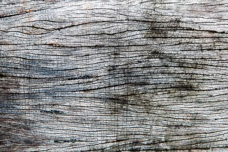Grungy cracked old wooden board by closeup textured backgroundの写真素材