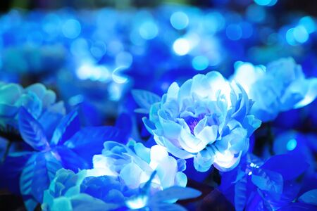 Blurred of blue flower with round shape illuminated LED lighting bokeh backgroundの写真素材