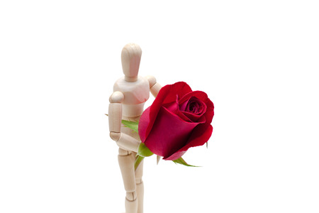 wooden dummies holding a big red rose, isolated on white backgroundの写真素材