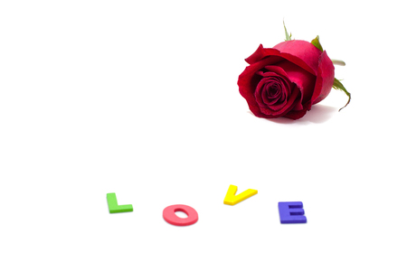 red rose with dew drops and word "LOVE" isolated on white background, love concept for valentines dayの写真素材