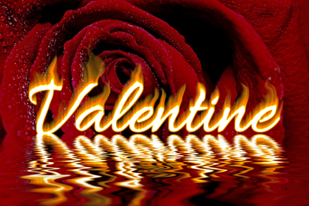 Valentine word written in flames, on dark red rose and water dew drops background with water reflection, love concept for valentines dayの写真素材