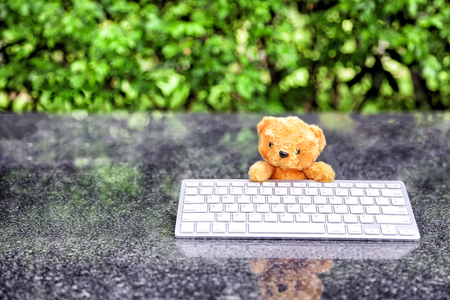 cute teddy bear with a wireless keyboard In the park., internet surfing or computer work concept.の写真素材