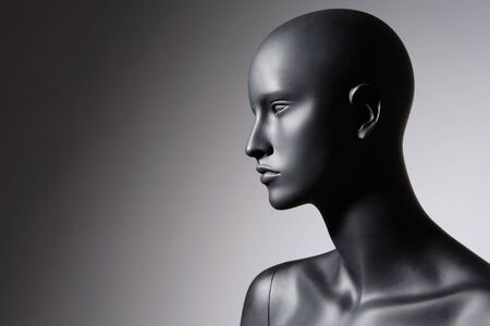 beautiful mannequin の写真素材