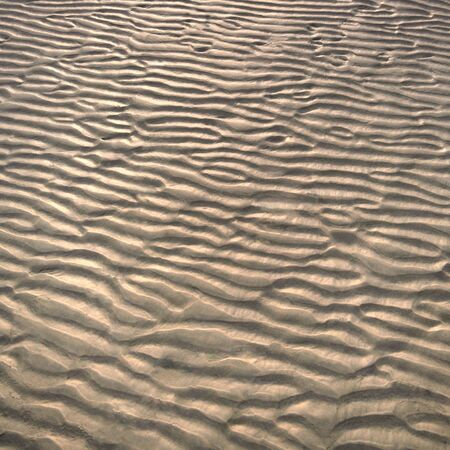 A wavy pattern in the sand. Nature's pure land.