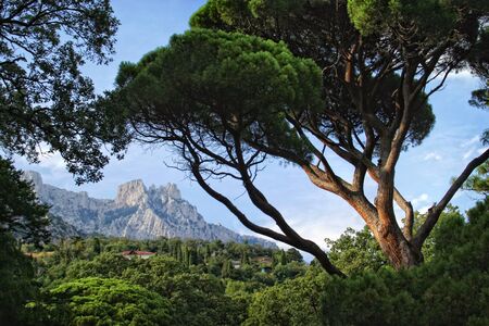 View of the mountain valley. Crimea, Ukraine