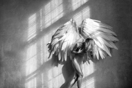 female with wings posing in studioの写真素材