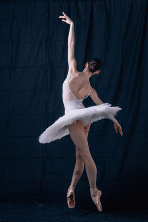 Young beautiful ballerina is posing in studioの写真素材