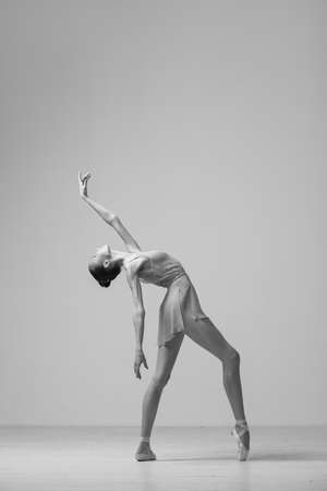 Young Beautiful Ballet Dancer Positioning on Studio Backgroundの写真素材