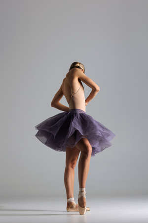 young beautiful ballet dancer posing in a studioの写真素材