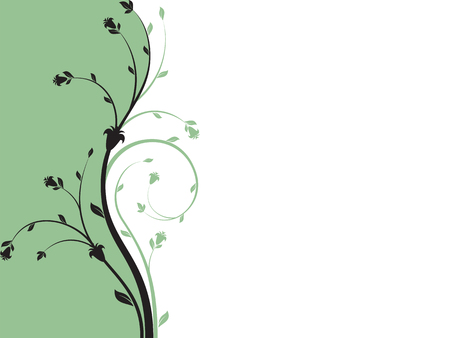 Floral ornament pattern curves. Vector illustration on white background.のイラスト素材
