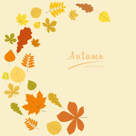 Yellow autumn leaves on a beige background. Vector illustration.のイラスト素材