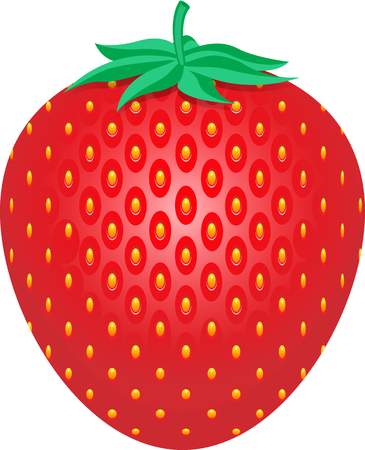 strawberry on a white background vector illustrationのイラスト素材