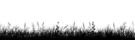 Grass meadow border. Spring plant field lawn. Grass background.のイラスト素材