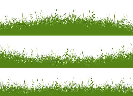 Grass meadow border. Grass on uneven ground.のイラスト素材