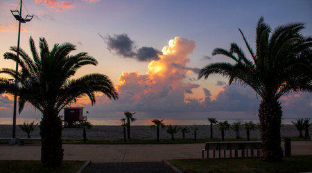 Sea sunset. Seascape. Evening tropical beach with palm trees.の写真素材