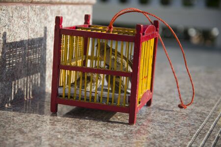 These birds are designed to perform the traditional ritual release of birds into the wild.の写真素材