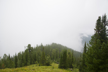 Morning mist in the mountains of North America. Canada and Alaska.の写真素材