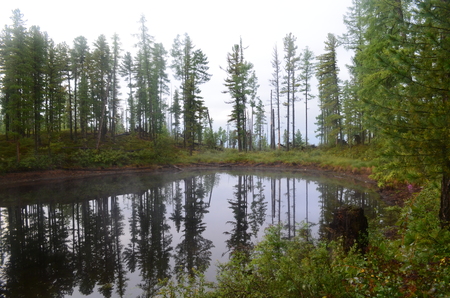 A small lake hidden deep in the forest, Sayan mountains.の写真素材